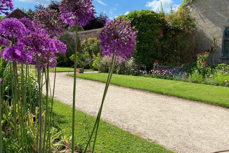 Centrack path through a garden